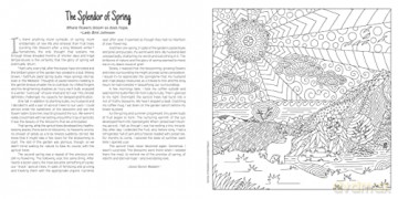 Chicken Soup for the Soul: Angels and Miracles Coloring Book: An Uplifting Coloring Book: With Chicken Soup for the Soul Stories of Hope, Answered Prayers and Divine Intervention - Amy Newmark [KSIĄŻKA]