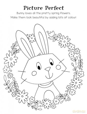 Chicks, Lambs, Bunnies Colouring (Colourmania Eco) - Igloo Books [KSIĄŻKA]