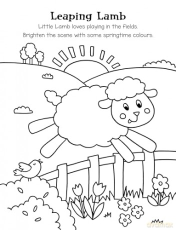 Chicks, Lambs, Bunnies Colouring (Colourmania Eco) - Igloo Books [KSIĄŻKA]