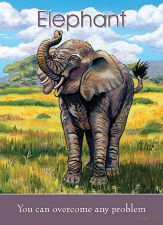 Children's Spirit Animal Cards: 24-cards and 92-page guidebook set - Farmer [KSIĄŻKA]