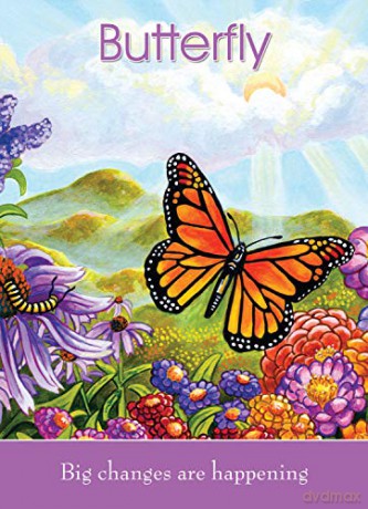 Children's Spirit Animal Cards: 24-cards and 92-page guidebook set - Farmer [KSIĄŻKA]