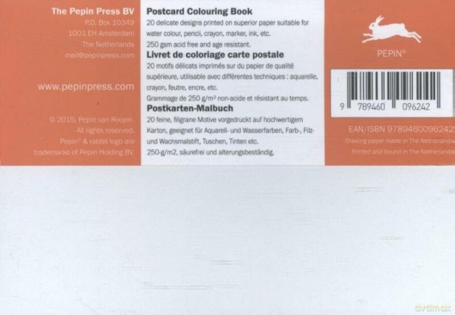 Chinese Designs: Postcard Colouring Book (Multilingual Edition) - Pepin Van Roojen [KSIĄŻKA]