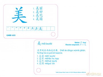 Chinese Flash Cards Kit Volume 3: Hsk Upper Intermediate Level: HSK Upper Intermediate Level (Online Audio Included) - Philip Yungkin Lee [KSIĄŻKA]