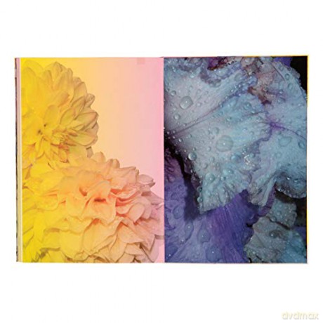 Christian Lacroix A5 Carnet D'artiste Paris - Christian Lacroix [KALENDARZ]