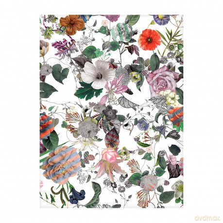 Christian Lacroix Heritage Collection Les 4 Saisons Boxed Notecards - Galison [KSIĄŻKA]