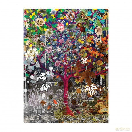 Christian Lacroix Heritage Collection Les 4 Saisons Boxed Notecards - Galison [KSIĄŻKA]