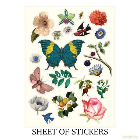 Christian Lacroix Heritage Collection Les 4 Saisons Boxed Notecards - Galison [KSIĄŻKA]