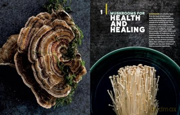 Christopher Hobbs's Guide to Medicinal Mushrooms: Boost Immunity, Improve Memory, Fight Cancer, Stop Infection, and Expand Your Consciousness - Hobbs [KSIĄŻKA]