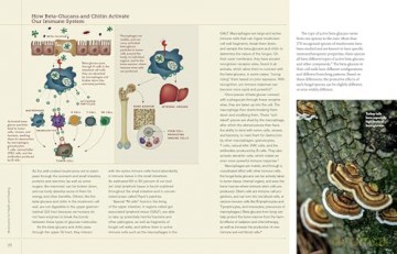 Christopher Hobbs's Guide to Medicinal Mushrooms: Boost Immunity, Improve Memory, Fight Cancer, Stop Infection, and Expand Your Consciousness - Hobbs [KSIĄŻKA]