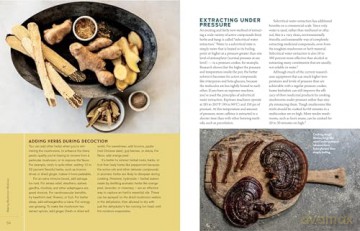 Christopher Hobbs's Guide to Medicinal Mushrooms: Boost Immunity, Improve Memory, Fight Cancer, Stop Infection, and Expand Your Consciousness - Hobbs [KSIĄŻKA]
