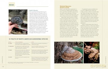 Christopher Hobbs's Guide to Medicinal Mushrooms: Boost Immunity, Improve Memory, Fight Cancer, Stop Infection, and Expand Your Consciousness - Hobbs [KSIĄŻKA]