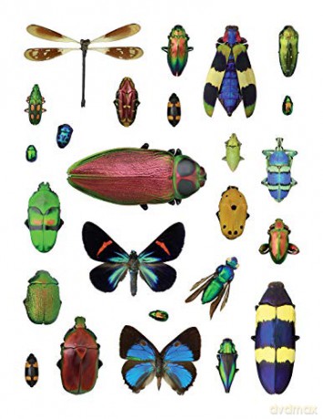 Christopher Marley's Incredible Insects Sticker Book - Christopher Marley [KSIĄŻKA]