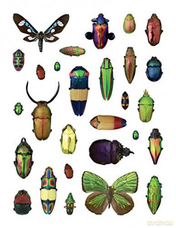 Christopher Marley's Incredible Insects Sticker Book - Christopher Marley [KSIĄŻKA]