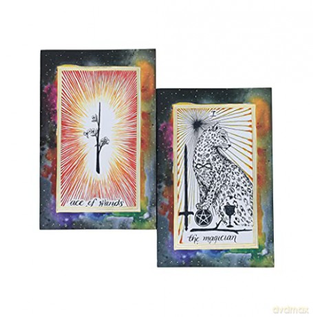 Chronicle Books The Wild Unknown Notebook Set - Kim Krans [KSIĄŻKA]
