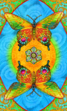 Chrysalis Tarot - Toney Brooks [KSIĄŻKA]