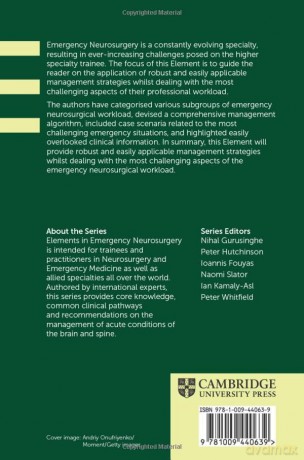 Clinical Priority for Common Emergency and Urgent Conditions in Neurosurgery (Elements in Emergency Neurosurgery) - Taha Lilo [KSIĄŻKA]