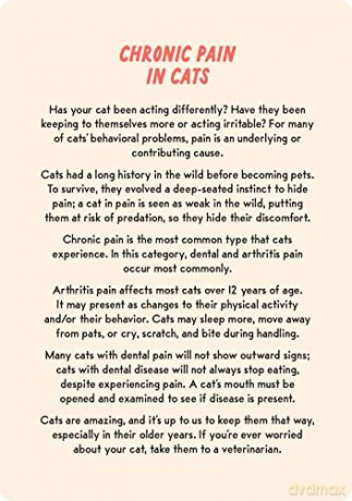 Coaching Cards for New Cat Parents: Advice from an animal expert - Dr. Marlena Lopez BSc DVM [KSIĄŻKA]