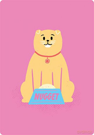 Coaching Cards for New Cat Parents: Advice from an animal expert - Dr. Marlena Lopez BSc DVM [KSIĄŻKA]