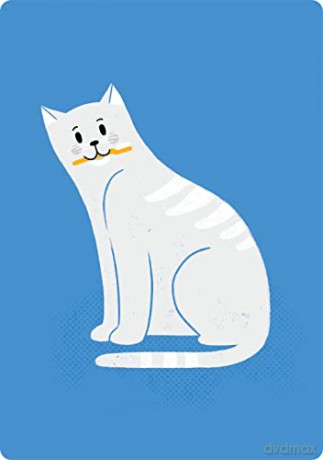Coaching Cards for New Cat Parents: Advice from an animal expert - Dr. Marlena Lopez BSc DVM [KSIĄŻKA]