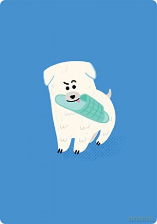 Coaching Cards for New Dog Parents: Advice from an animal expert - Dr. Marlena Lopez BSc DVM [KSIĄŻKA]