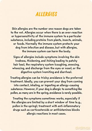 Coaching Cards for New Dog Parents: Advice from an animal expert - Dr. Marlena Lopez BSc DVM [KSIĄŻKA]