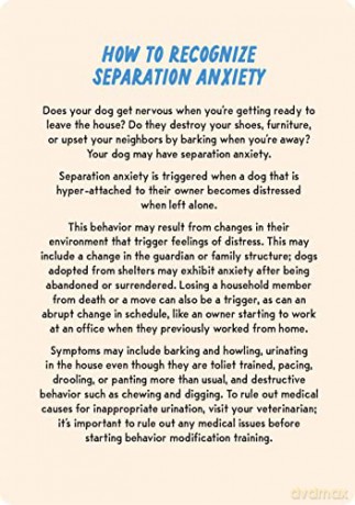Coaching Cards for New Dog Parents: Advice from an animal expert - Dr. Marlena Lopez BSc DVM [KSIĄŻKA]