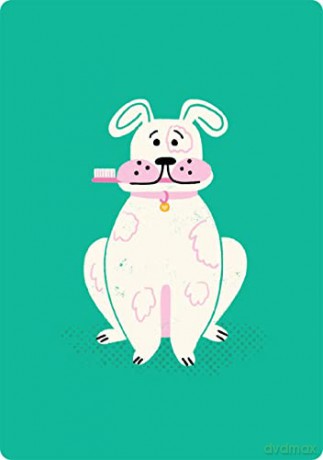Coaching Cards for New Dog Parents: Advice from an animal expert - Dr. Marlena Lopez BSc DVM [KSIĄŻKA]