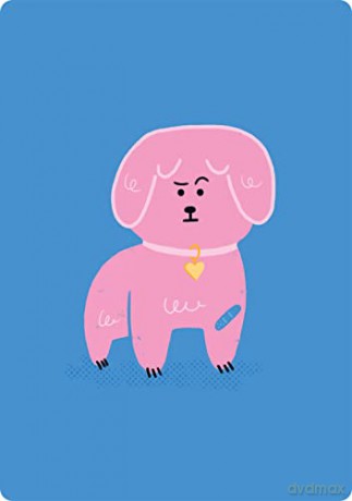 Coaching Cards for New Dog Parents: Advice from an animal expert - Dr. Marlena Lopez BSc DVM [KSIĄŻKA]