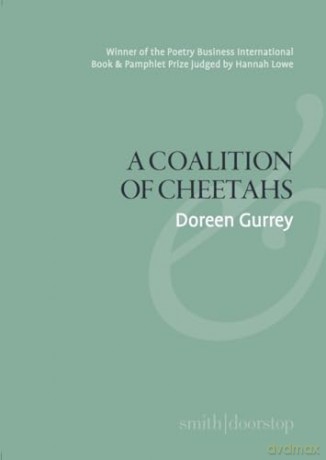 Coalition of Cheetahs - Doreen Gurrey [KSIĄŻKA]