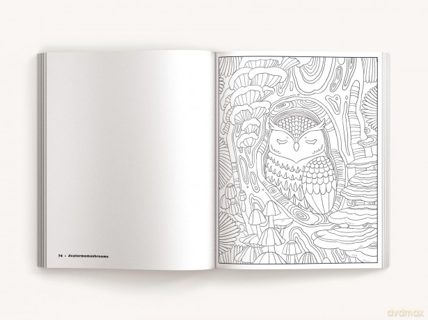 Color Me Mushrooms: A Funky Fungi Coloring Book - Editors of Cider Mill Press [KSIĄŻKA]