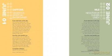 Colorstrology: What Your Birthday Color Says About You - Michele Bernhardt [KSIĄŻKA]