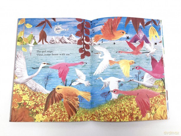 Colours, Colours Everywhere: A lift-the-flap adventure from an award-winning duo - Julia Donaldson [KSIĄŻKA]