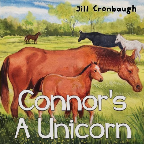 Connor's A Unicorn - Jill A. Cronbaugh [KSIĄŻKA]