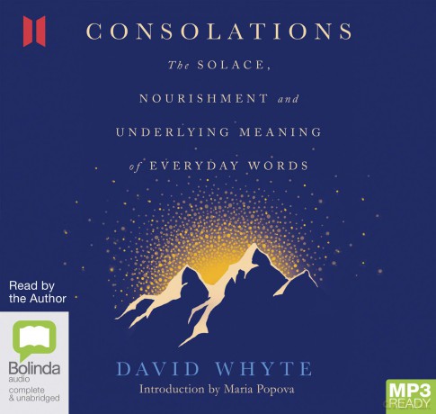 Consolations: The Solace, Nourishment and Underlying Meaning of Everyday Words - David Whyte [KSIĄŻKA]