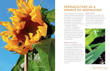 Container Gardening: The Permaculture Way: Sustainably Grow Vegetables and More in Your Small Space - Valéry Tsimba [KSIĄŻKA]