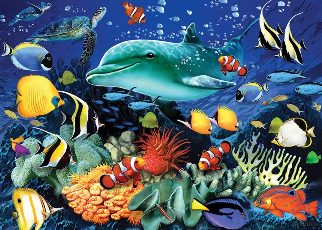 Coral Reef 1000 Piece Jigsaw [PUZZLE]