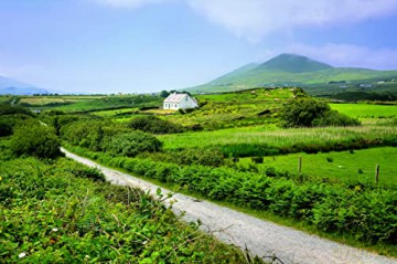Cork and Kerry Map | Ordnance Survey Ireland | Beara Peninsula | OSI Discovery Series 84 | Ireland | Walks | Hiking | Maps | Adventure (Irish Discovery Series) - Ordnance Survey Ireland [KSIĄŻKA]