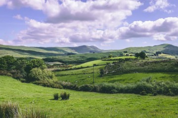 Cork and Kerry Map | Ordnance Survey Ireland | Beara Peninsula | OSI Discovery Series 84 | Ireland | Walks | Hiking | Maps | Adventure (Irish Discovery Series) - Ordnance Survey Ireland [KSIĄŻKA]