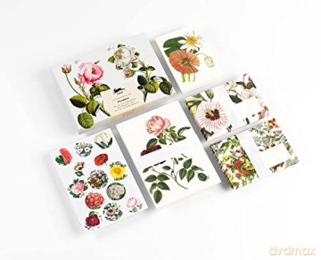 Correspondence Set Flowers - Pepin van Roojen [KSIĄŻKA]