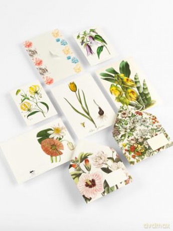 Correspondence Set Flowers - Pepin van Roojen [KSIĄŻKA]