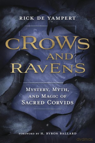 Crows and Ravens: Mystery, Myth, and Magic of Sacred Corvids - Rick de Yampert [KSIĄŻKA]