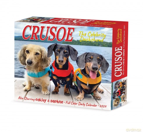 Crusoe the Celebrity Dachshund 2024 6.2 X 5.4 Box Calendar - Ryan Beauchesne [KALENDARZ]
