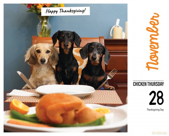 Crusoe the Celebrity Dachshund 2024 6.2 X 5.4 Box Calendar - Ryan Beauchesne [KALENDARZ]