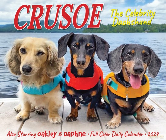 Crusoe the Celebrity Dachshund 2024 6.2 X 5.4 Box Calendar - Ryan Beauchesne [KALENDARZ]