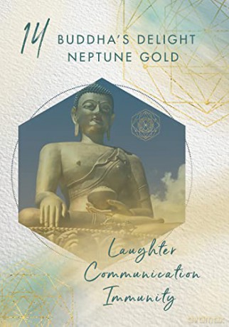 Crystal Sound Healing Oracle: A 48-Card Deck and Guidebook with 48 Singing Bowl Audios to Enhance Your Experience - Jeralyn Glass [KSIĄŻKA]