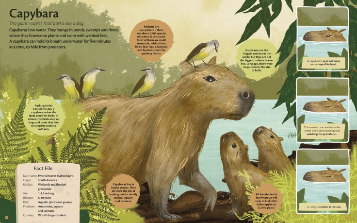 Curious Features Of Extraordinary Creatures: The amazing true stories of the world's weirdest animals - Camilla de la Bedoyere [KSIĄŻKA]