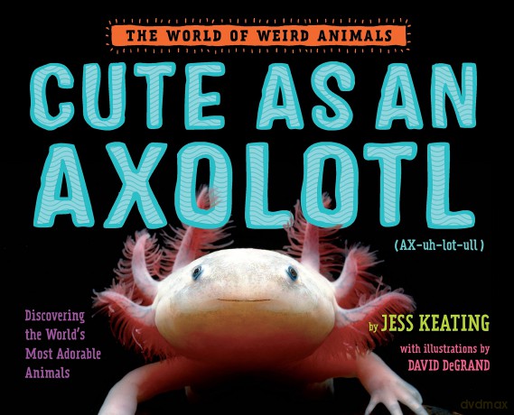 Cute as an Axolotl: Discovering the World's Most Adorable Animals (World of Weird Animals) - Jess Keating [KSIĄŻKA]