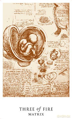 Da Vinci Enigma Tarot - Caitlín Matthews [KSIĄŻKA]