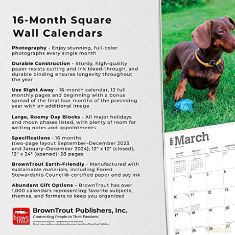 Dachshunds | 2024 12 x 24 Inch Monthly Square Wall Calendar | Foil Stamped Cover | BrownTrout | Animals Dog Breeds [KALENDARZ]