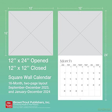 Dachshunds | 2024 12 x 24 Inch Monthly Square Wall Calendar | Foil Stamped Cover | BrownTrout | Animals Dog Breeds [KALENDARZ]